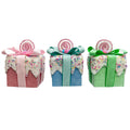 Giftbox With Sprinkle Glitter - Country Silk