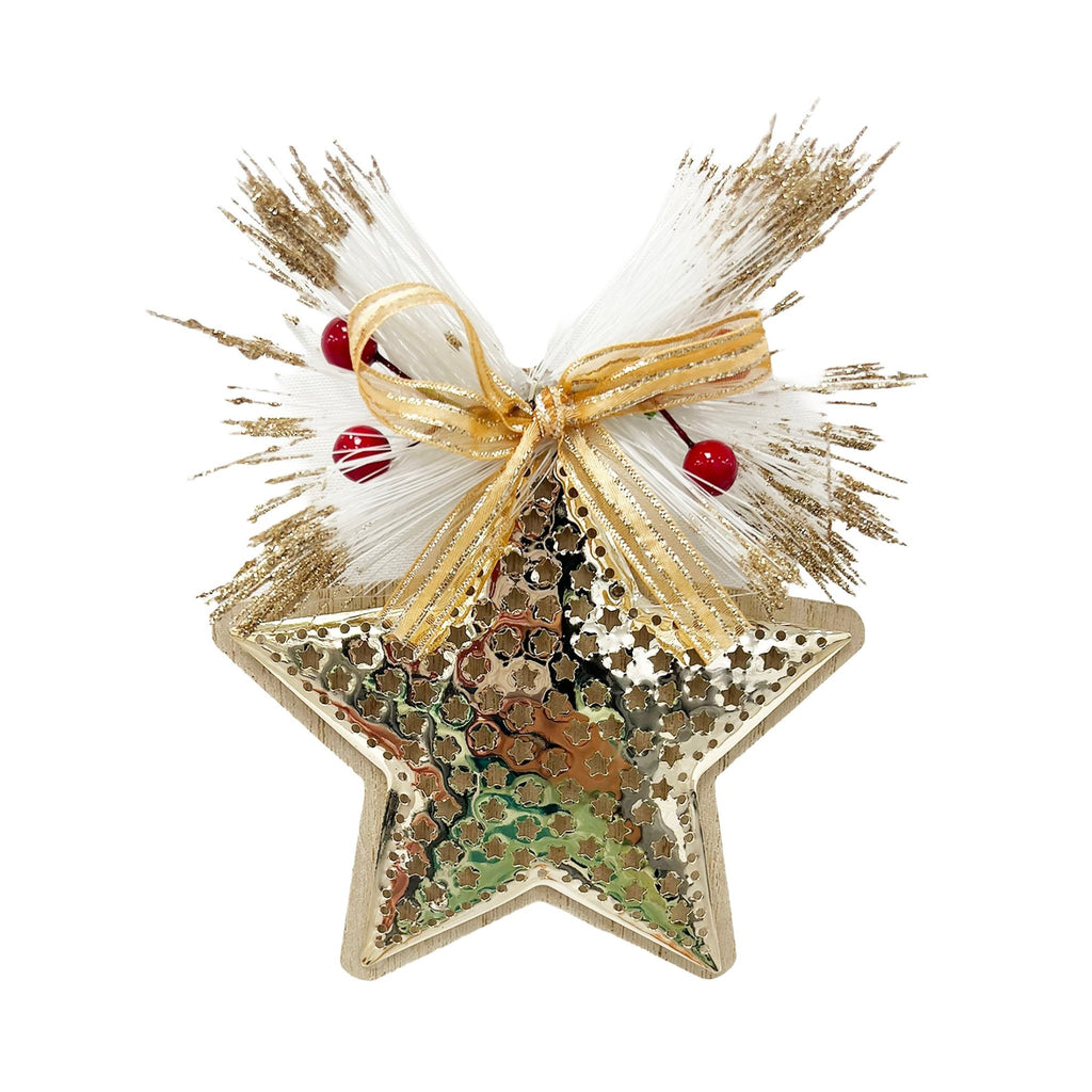 1Pk Metal Star Orn Wth Pine - Country Silk