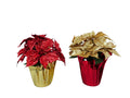 13 H Glittered Poin X 5 W Foil Paper Wr - Country Silk