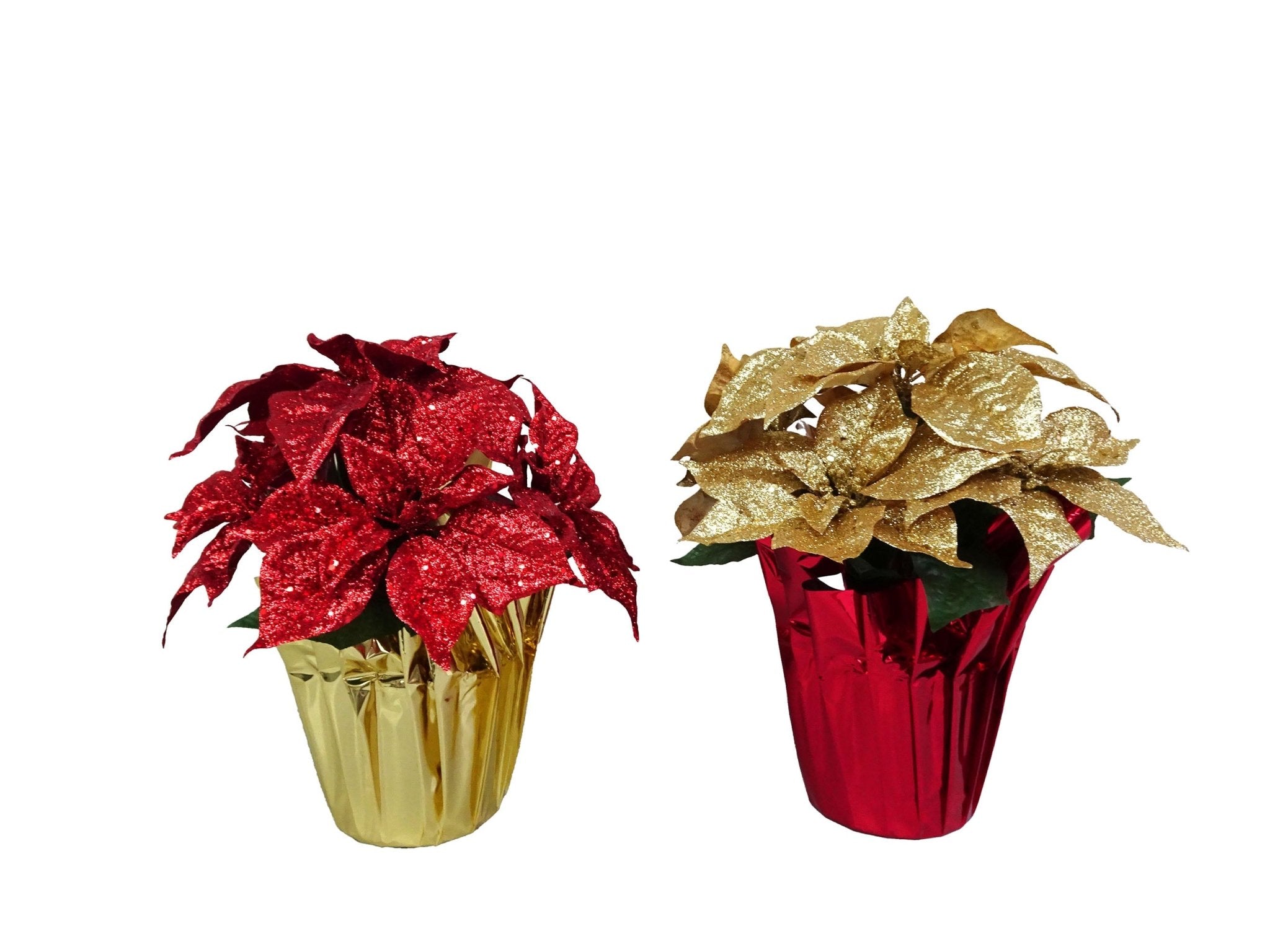 13 H Glittered Poin X 5 W Foil Paper Wr - Country Silk