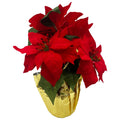13 H Velvet Poin X 5 W Foil Paper Wrap - Country Silk
