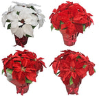 14 Inch Velour Poinsettia X 5 In Wrappe - Country Silk