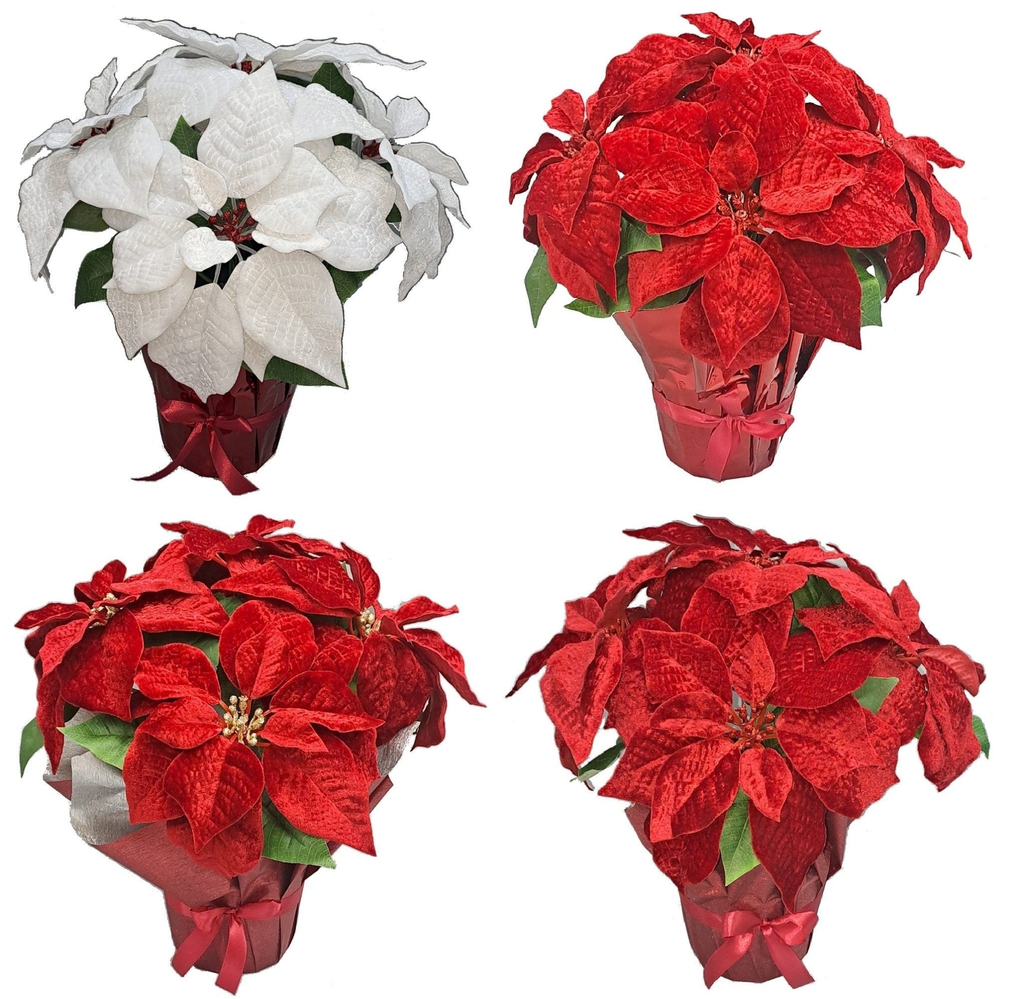 14 Inch Velour Poinsettia X 5 In Wrappe - Country Silk