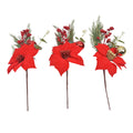 Pdq Fern  Poinsettia  Berries Pick