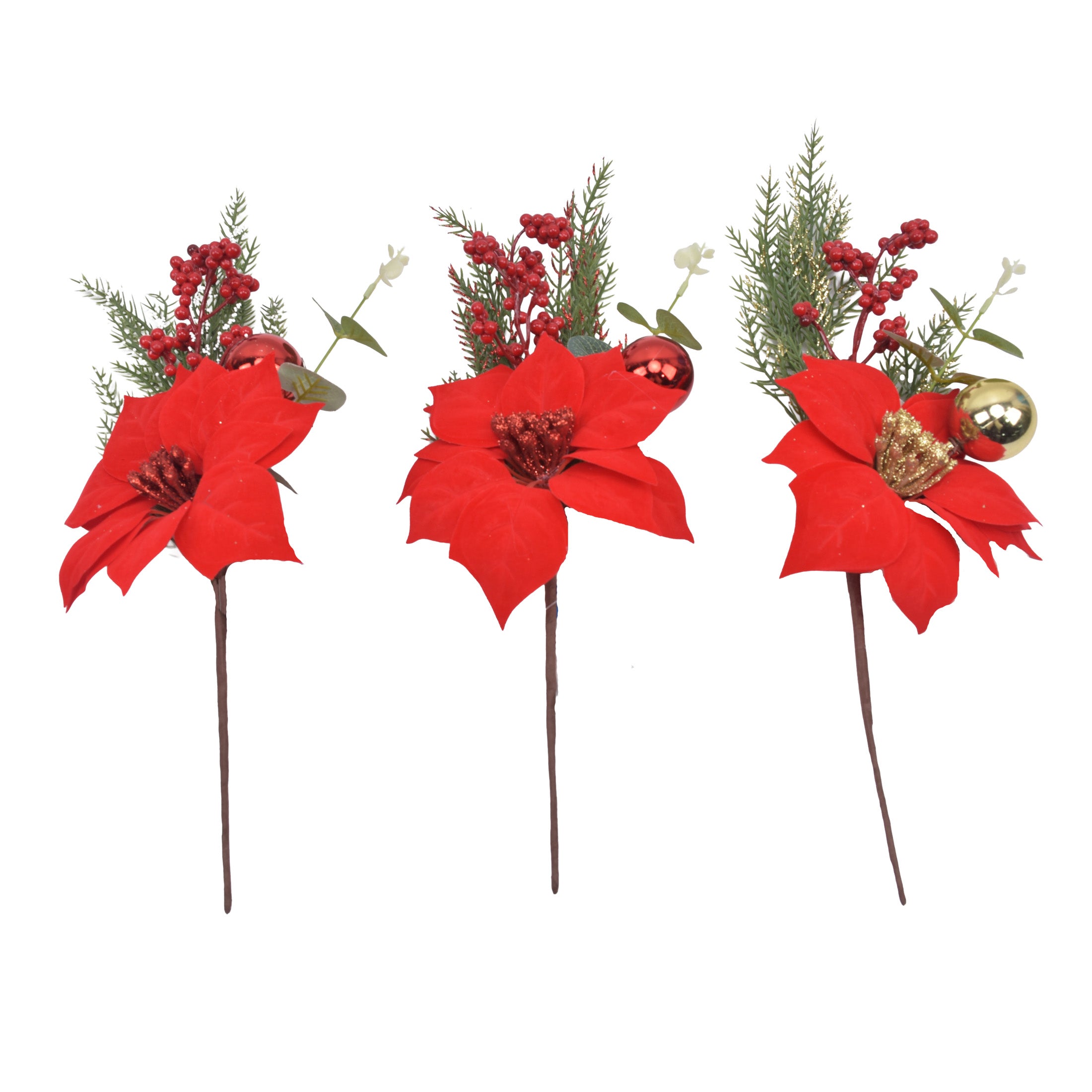 Pdq Fern  Poinsettia  Berries Pick