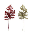Flat Fern Pick - Country Silk