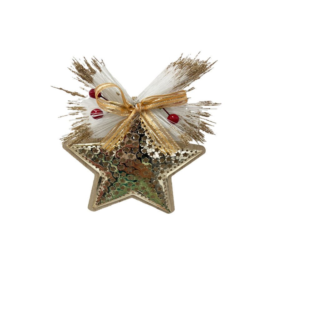 1Pk Metal Star Orn Wth Pine - Country Silk