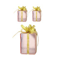 1 Pk 2Pk Shiny Gift Box