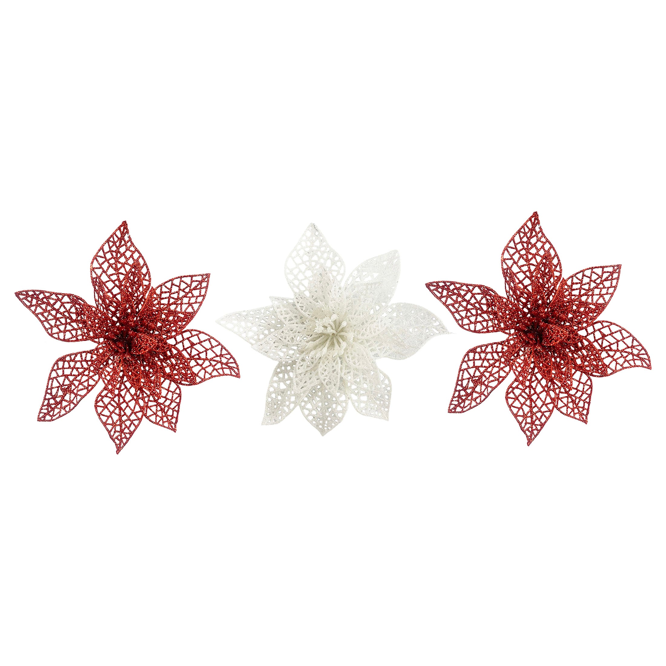 3Pk Poinsettia In Acetate Box