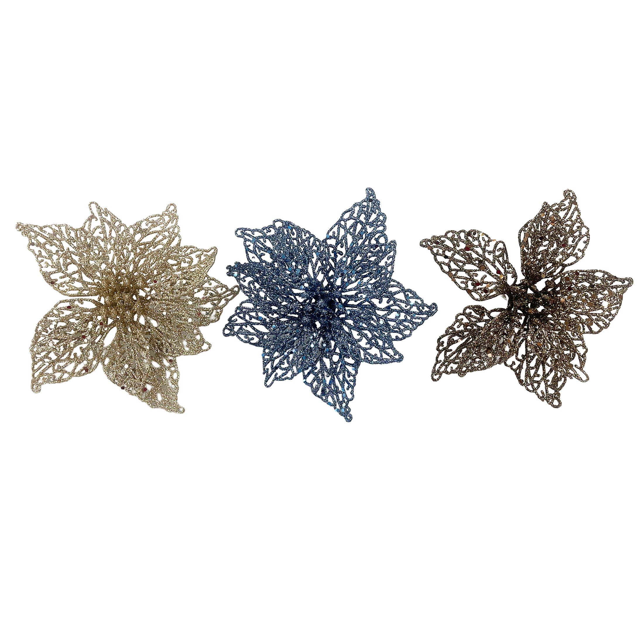 3Pk Poinsettia In Acetate Box