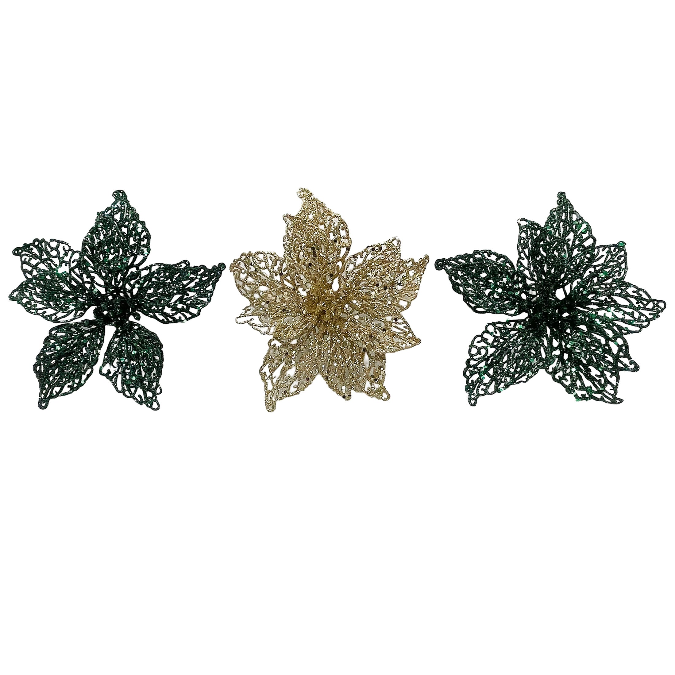 3Pk Poinsettia In Acetate Box